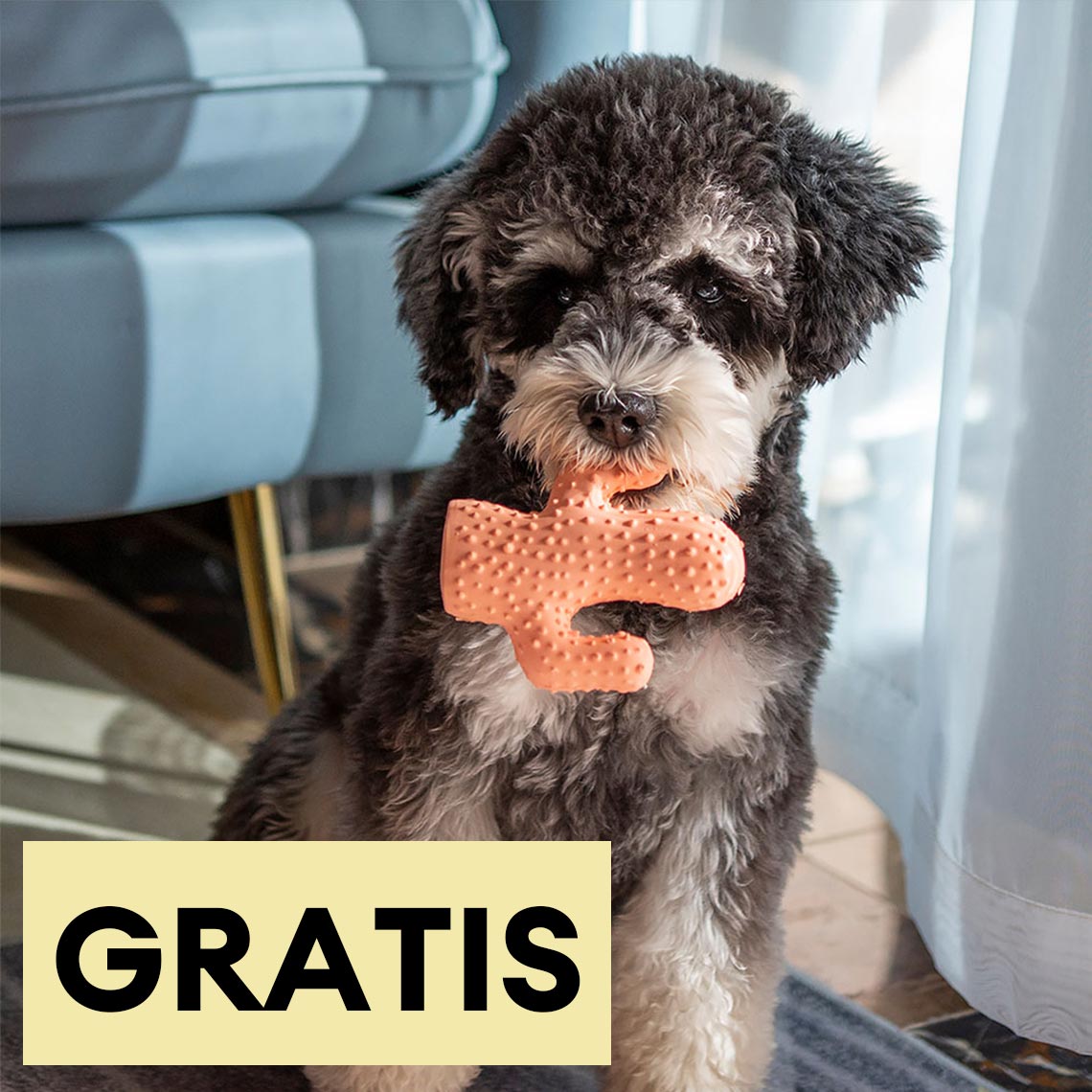 Quietschendes Hundespielzeug in Kaktusform