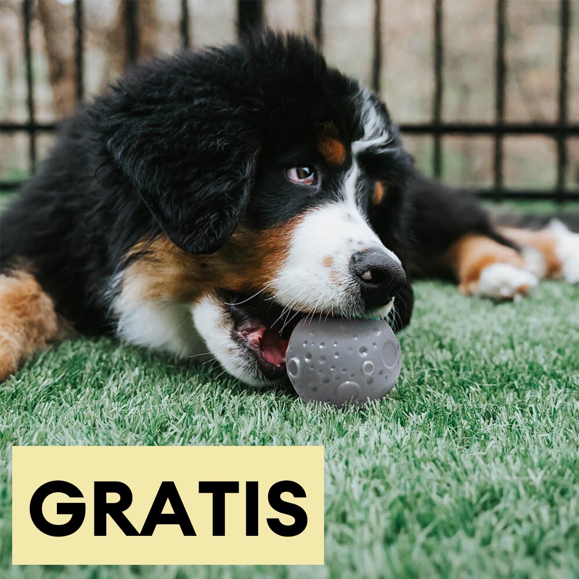 Cosmos Feeder Trainingsball Hundespielzeug zum Kauen