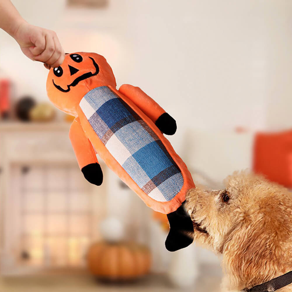 Lustiges Halloween-Kürbis-Beißseil-Spielzeug für Hunde Kauspielzeug-Set