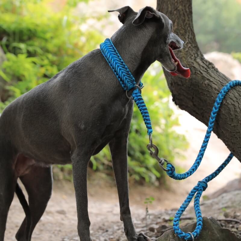 Handgefertigtes leuchtendes Anti-Zug-Halsband und Leine für große Hunde