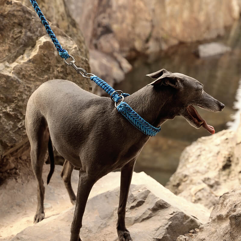 Handgefertigtes leuchtendes Anti-Zug-Halsband und Leine für große Hunde