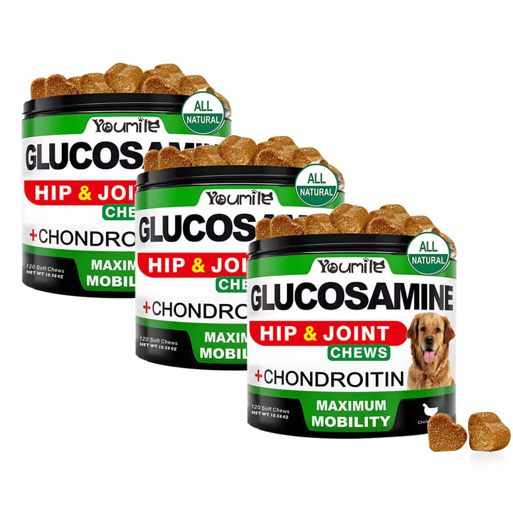 Hüft- und Gelenk-Glucosamin-Ergänzung für Hunde - Unterstützt die Beweglichkeit und lindert Schmerzen auf natürliche Weise