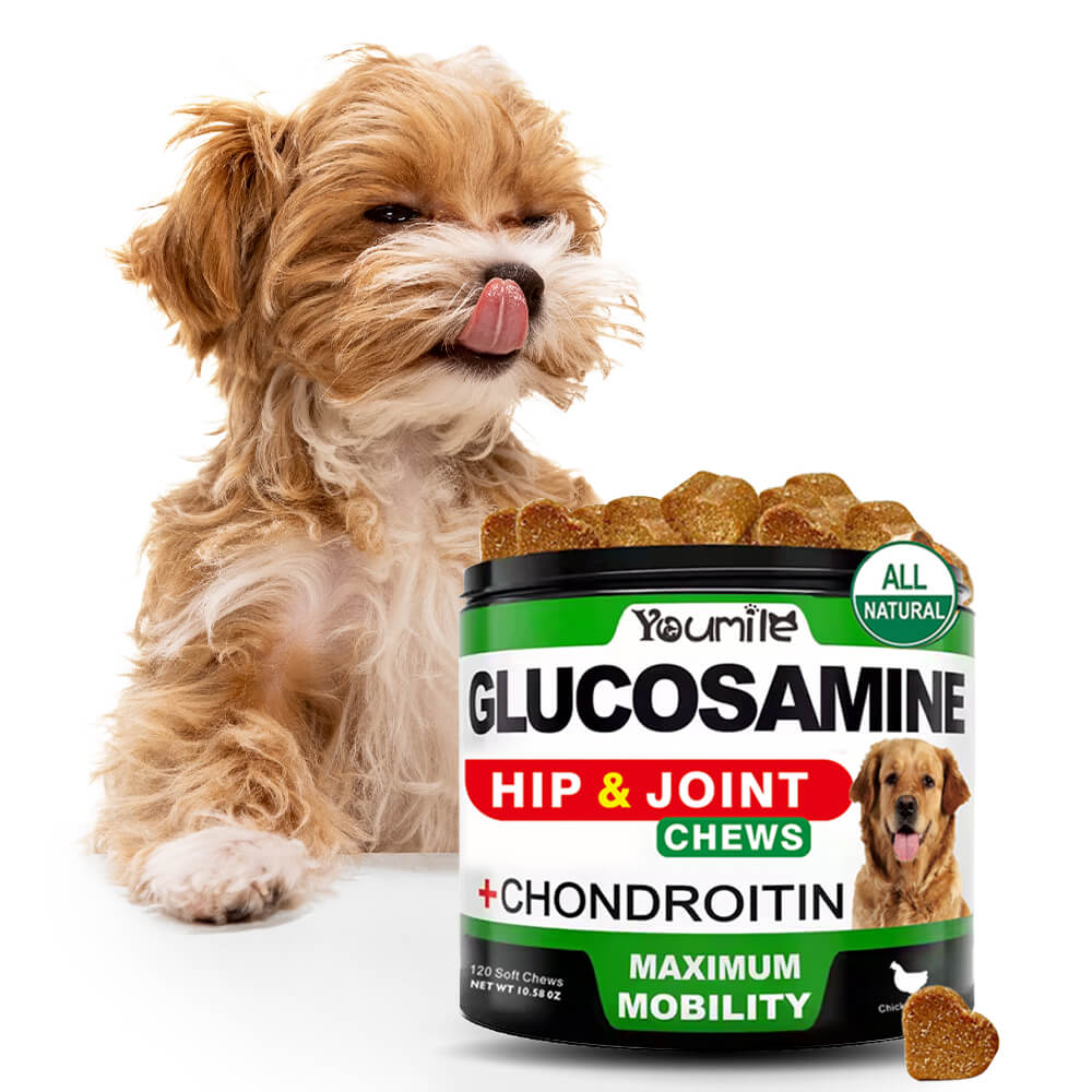 Hüft- und Gelenk-Glucosamin-Ergänzung für Hunde - Unterstützt die Beweglichkeit und lindert Schmerzen auf natürliche Weise