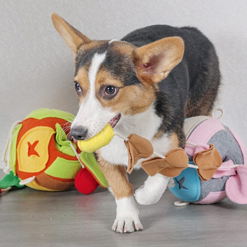 Interaktives Puzzle Quietschspielzeug Laubball Leckerli-Spender Spielzeug für Hunde