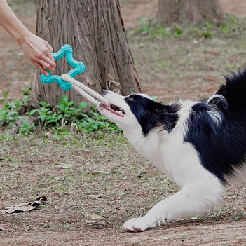 Interaktives Tauziehen-Hundespielzeug Zahnreinigung Kauspielzeug aus Gummi