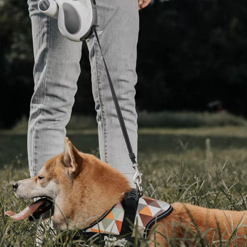 LED-Beleuchtung Lange Einziehbare Coole Hundezubehör Trainingsleine