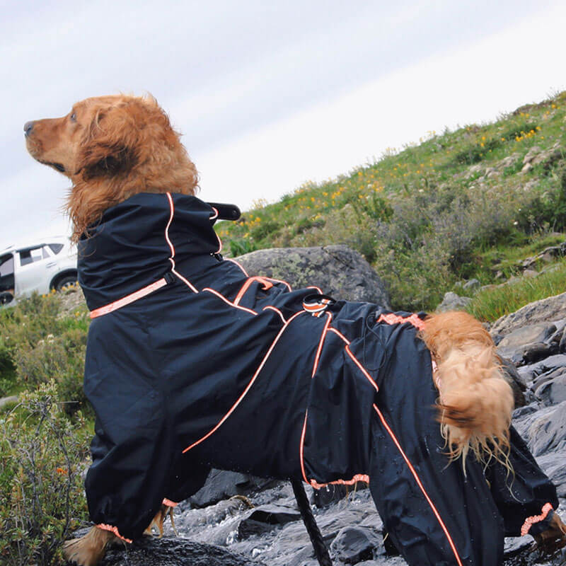 Wasserdicht Verstellbarer Hunderegenmantel Outdoor-Jacke für große Hunde