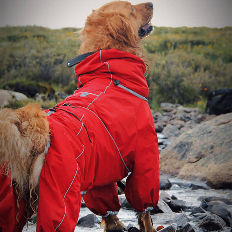 Wasserdicht Verstellbarer Hunderegenmantel Outdoor-Jacke für große Hunde