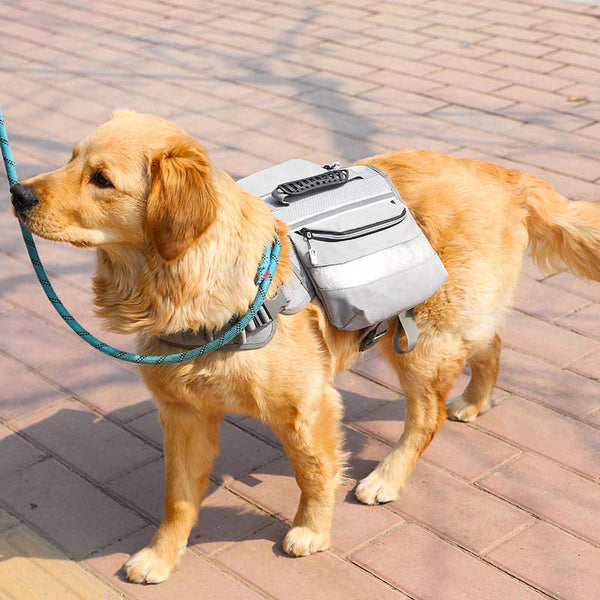 Taktisches Hundegeschirr für Große Hunde zum Selbstverpacken