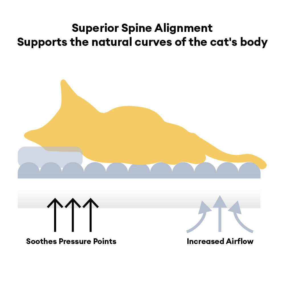 Großes weiches stützendes Kopfkissen orthopädisches Katzenbett - Wolkenschläfer