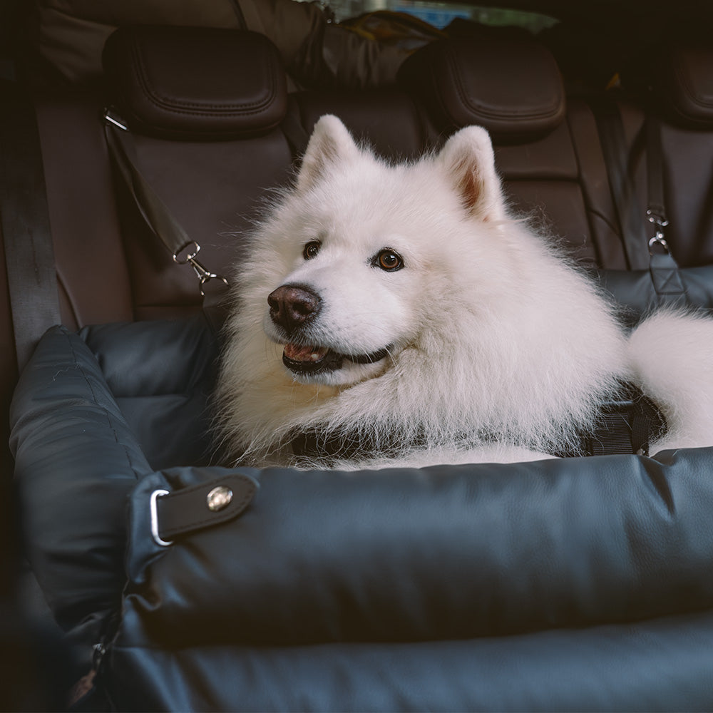 Großes Deluxe Hundesitz-Boosterbett aus Kunstleder - Roadtrip