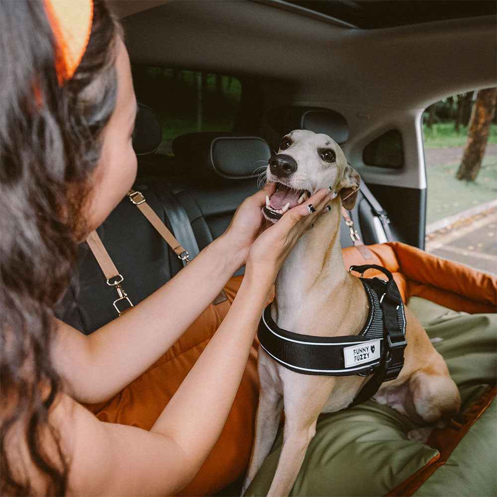 Großes Deluxe-Autositz-Sitzbett aus Kunstleder für Hunde - Urban Voyager