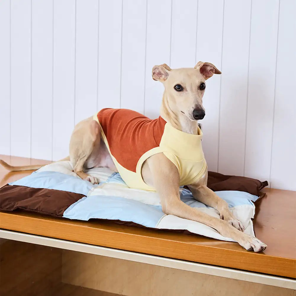 Macaron-Farbiger, wasserabweisender, multifunktionaler Hundematte