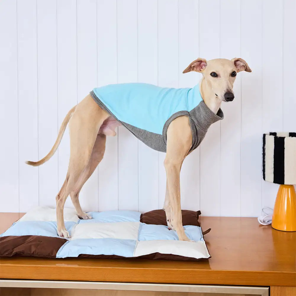 Macaron-Farbiger, wasserabweisender, multifunktionaler Hundematte