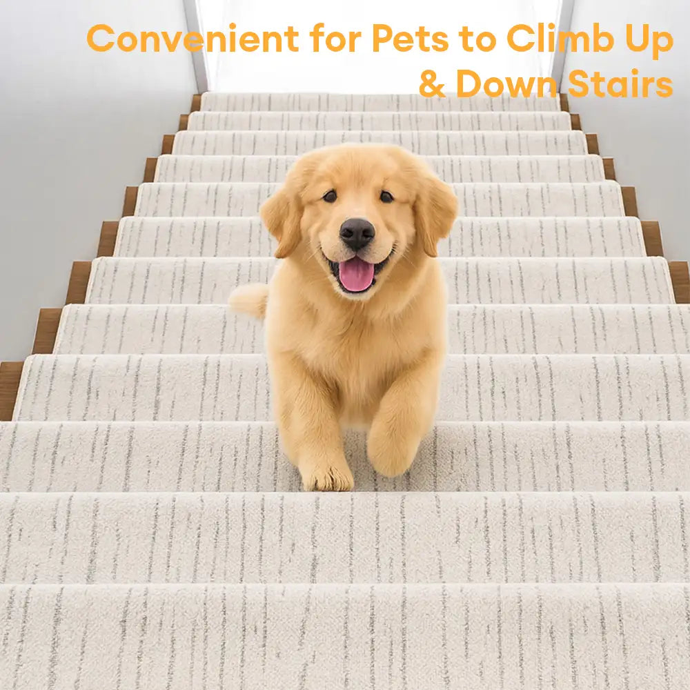 Marmor-Gepolsterte Dicke und Weiche Bullnose Rutschfeste Treppenstufen