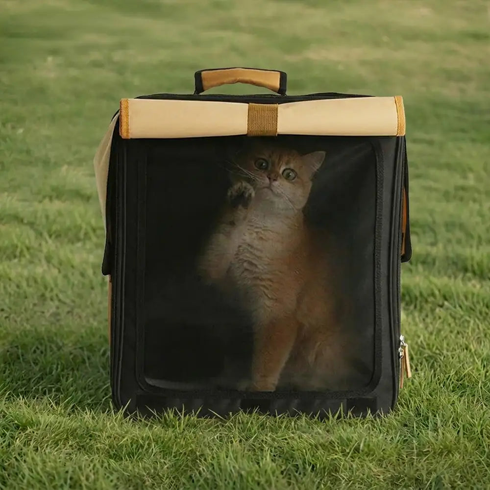 Mehrzweck atmungsaktiver Roll-Up Haustierträger Katzenrucksack
