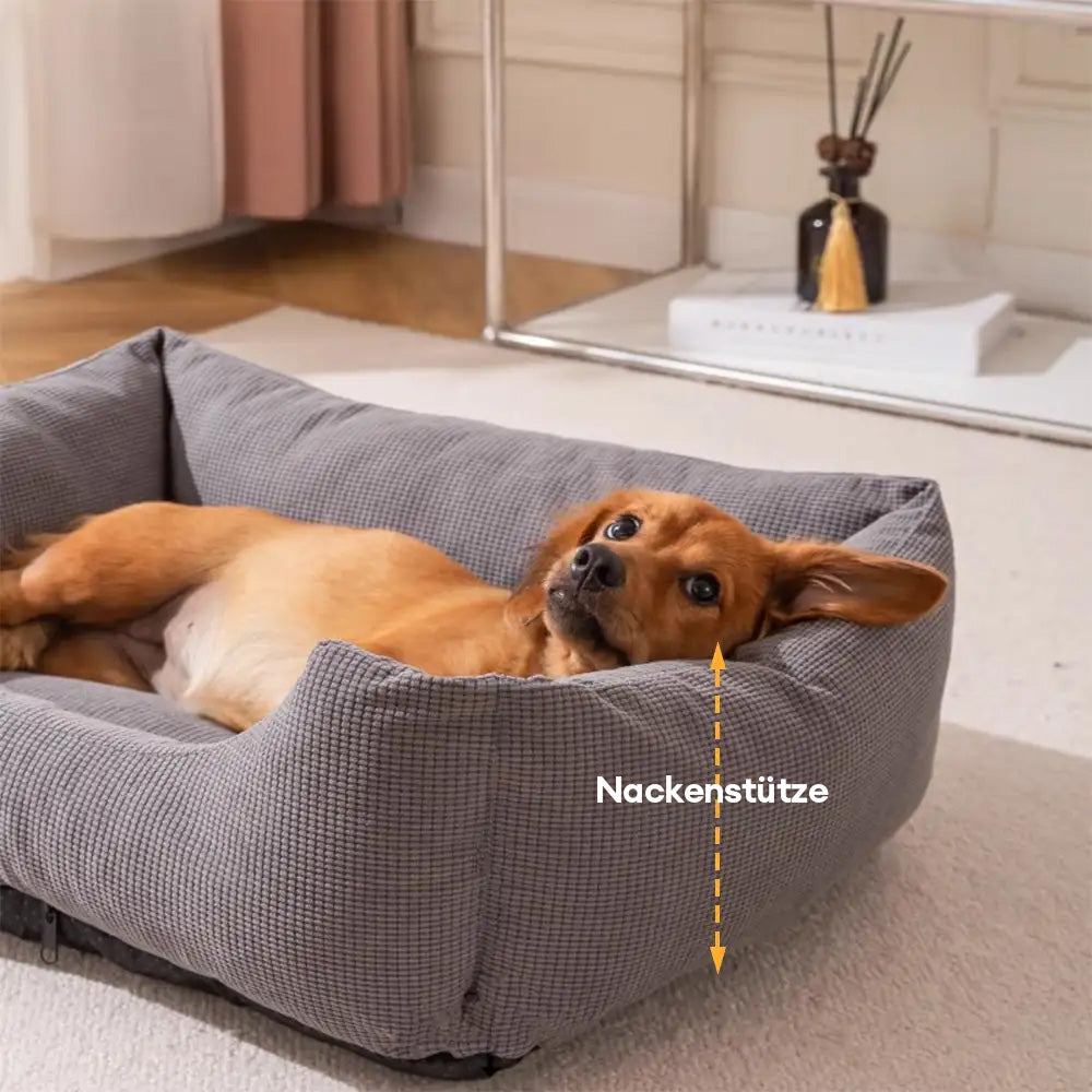 Hundebett mit Rippenstruktur – kratzfest, atmungsaktiv, abnehmbar, komfortabel