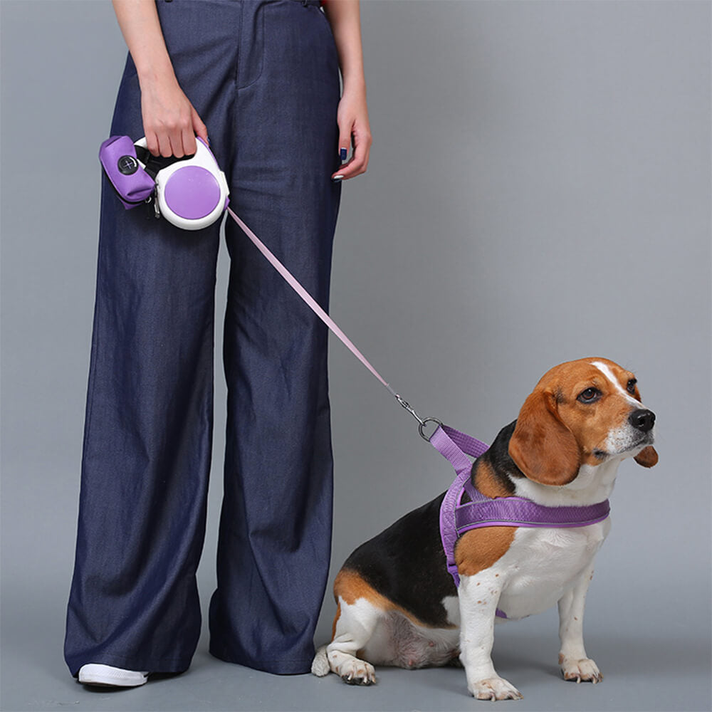 Nylon verstellbares reflektierendes nicht ziehendes Hundegeschirr mit Halsband und Leine