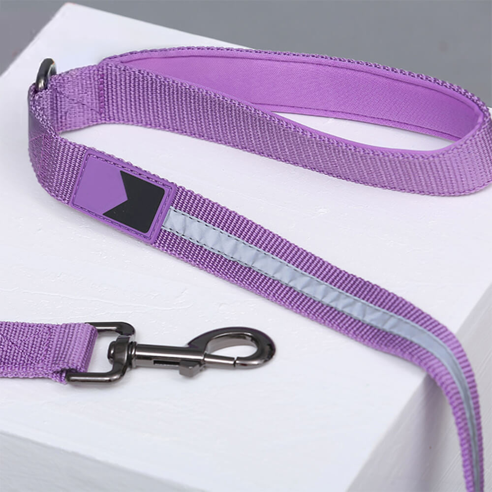 Nylon verstellbares reflektierendes nicht ziehendes Hundegeschirr mit Halsband und Leine