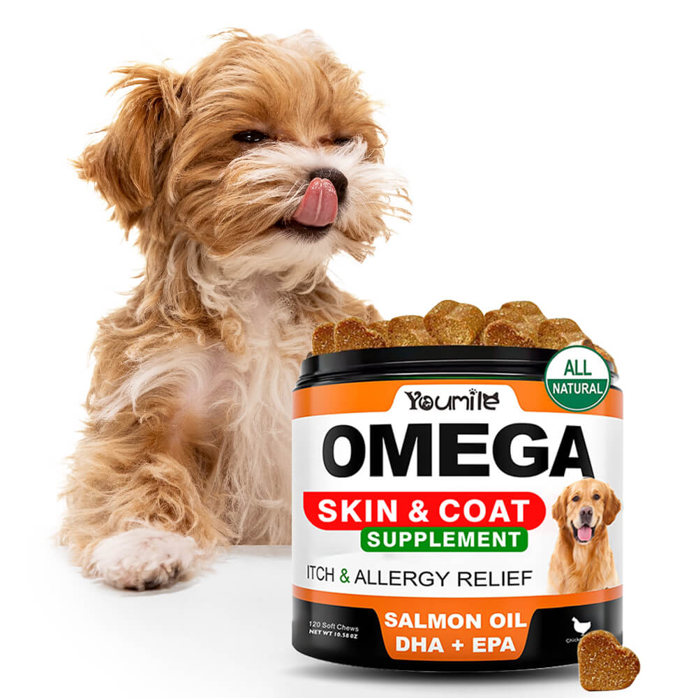Omega-3-Fischöl-Ergänzung für Hunde - Unterstützt die Fell- und Hautgesundheit