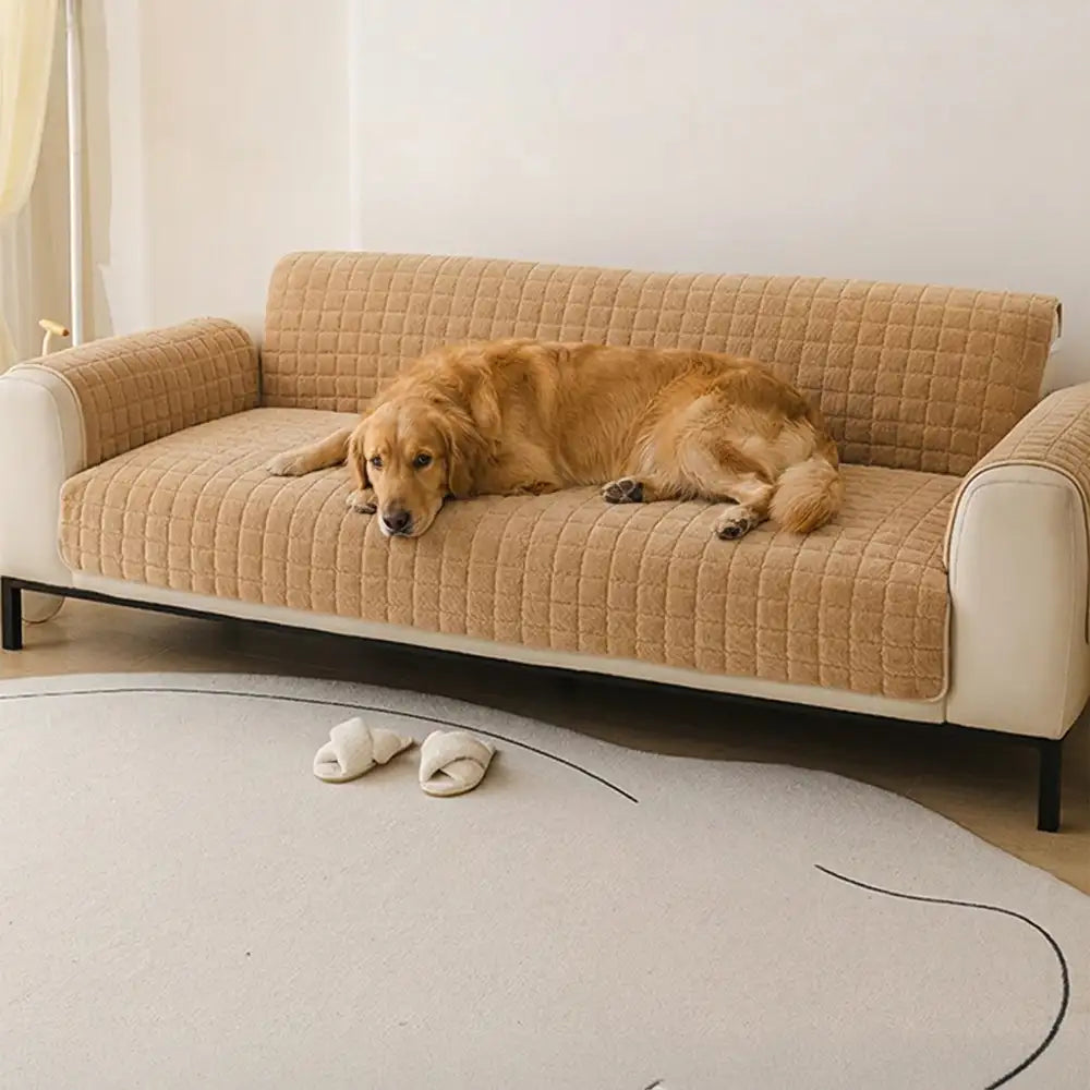 Einteilige, weiche, haustierfreundliche Kurzplüsch-Sofaschonhülle, rutschfest