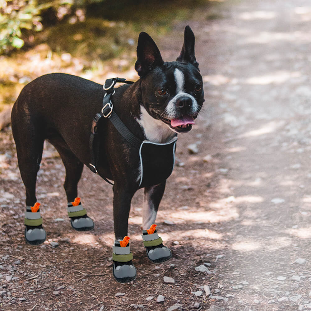 Atmungsaktive Outdoor-Wander- und Laufschuhe mit rutschfester Sohle für Hunde