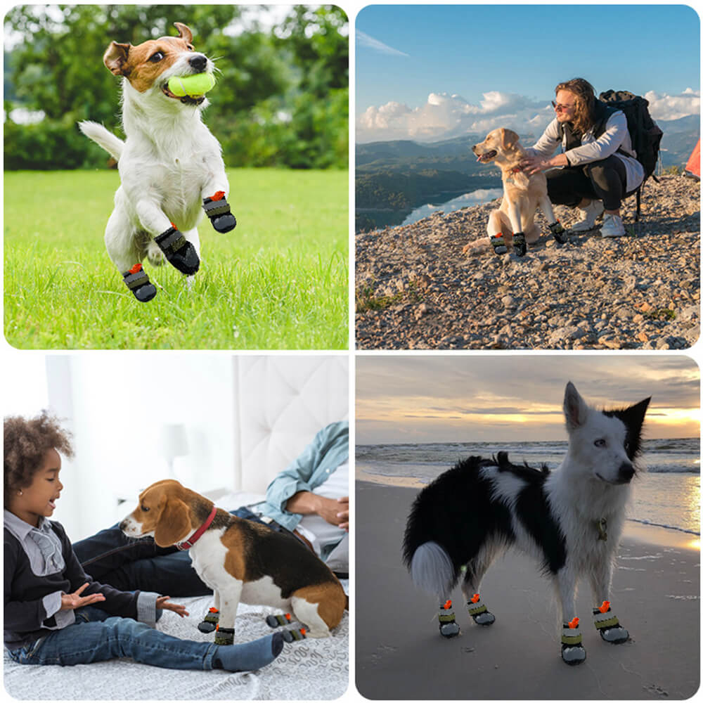 Atmungsaktive Outdoor-Wander- und Laufschuhe mit rutschfester Sohle für Hunde