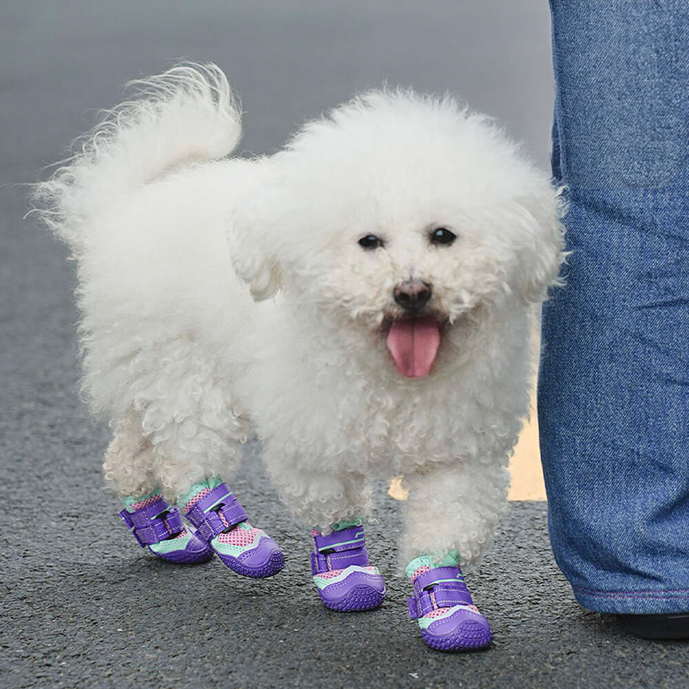 Atmungsaktive Outdoor-Wander- und Laufschuhe mit rutschfester Sohle für Hunde