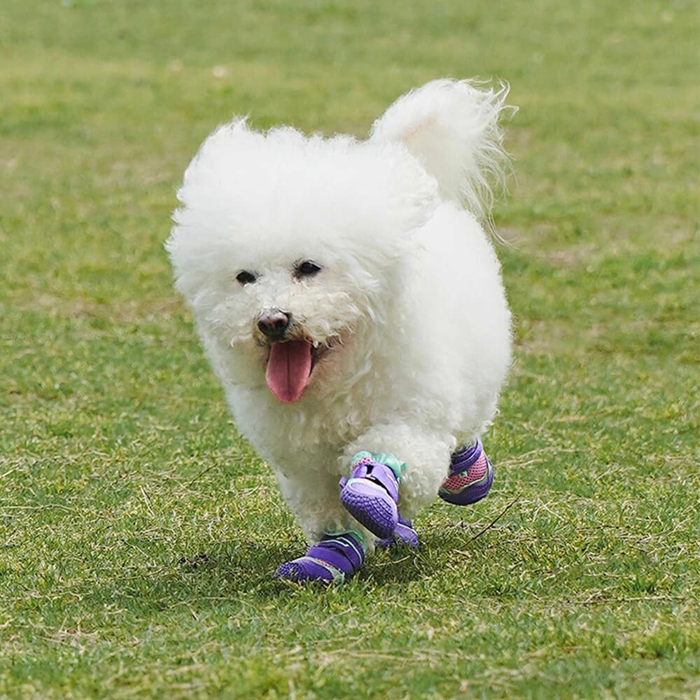 Atmungsaktive Outdoor-Wander- und Laufschuhe mit rutschfester Sohle für Hunde