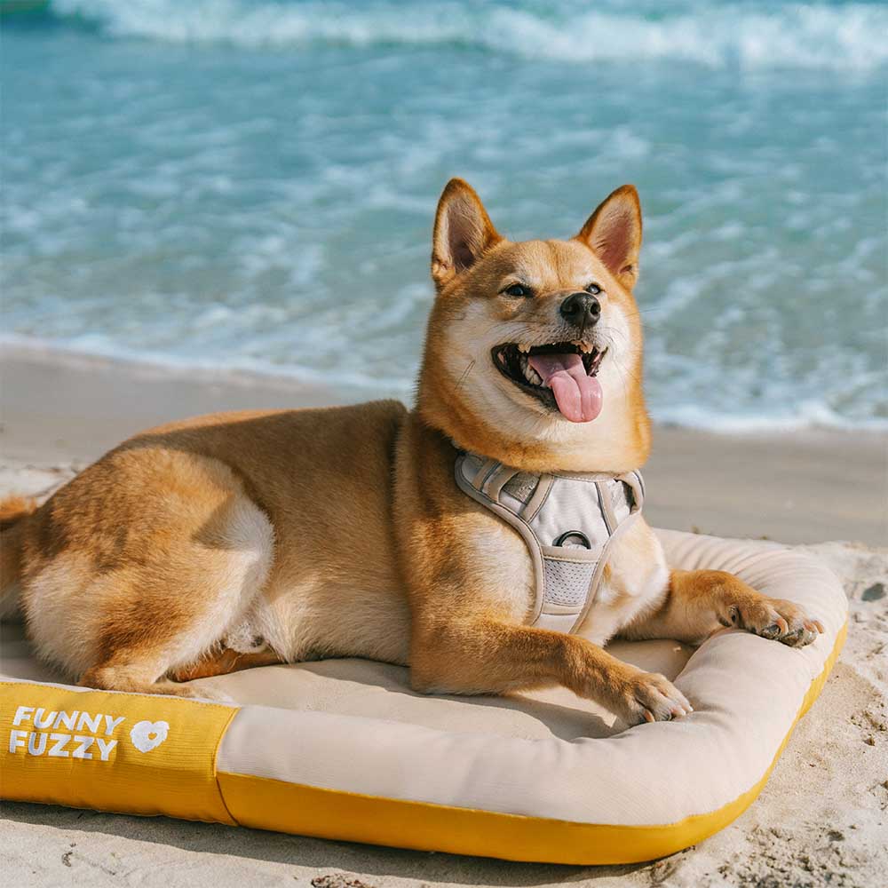 Wasserfestes und bissfestes Memory-Schaum-Orthopädisches Hundematte für die Hundebox