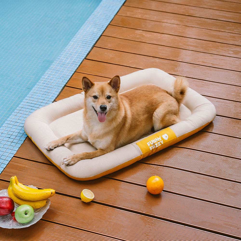 Wasserfestes und bissfestes Memory-Schaum-Orthopädisches Hundematte für die Hundebox