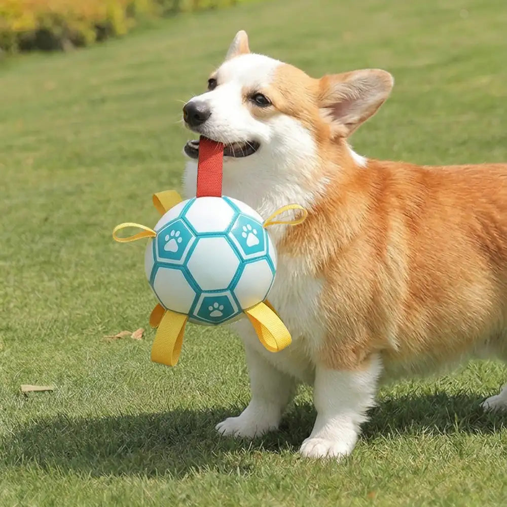Pfotenabdruck Fußball Hundekauspielzeug mit Gurten
