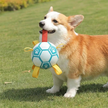 Pfotenabdruck Fußball Hundekauspielzeug mit Gurten