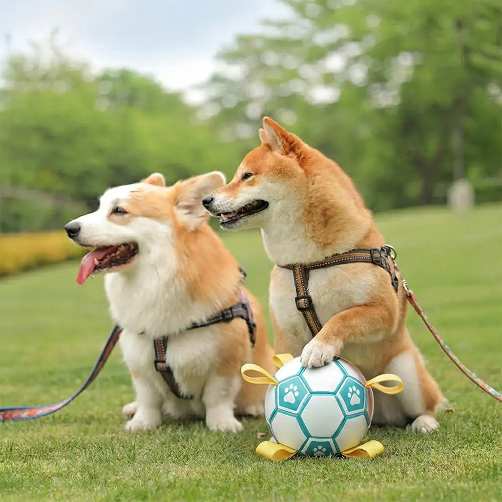 Pfotenabdruck Fußball Hundekauspielzeug mit Gurten