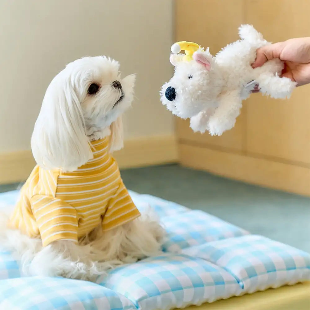 All-in-One Doppelschicht Bequemer Waschbarer Hundebett - Exklusiv für Haustiere