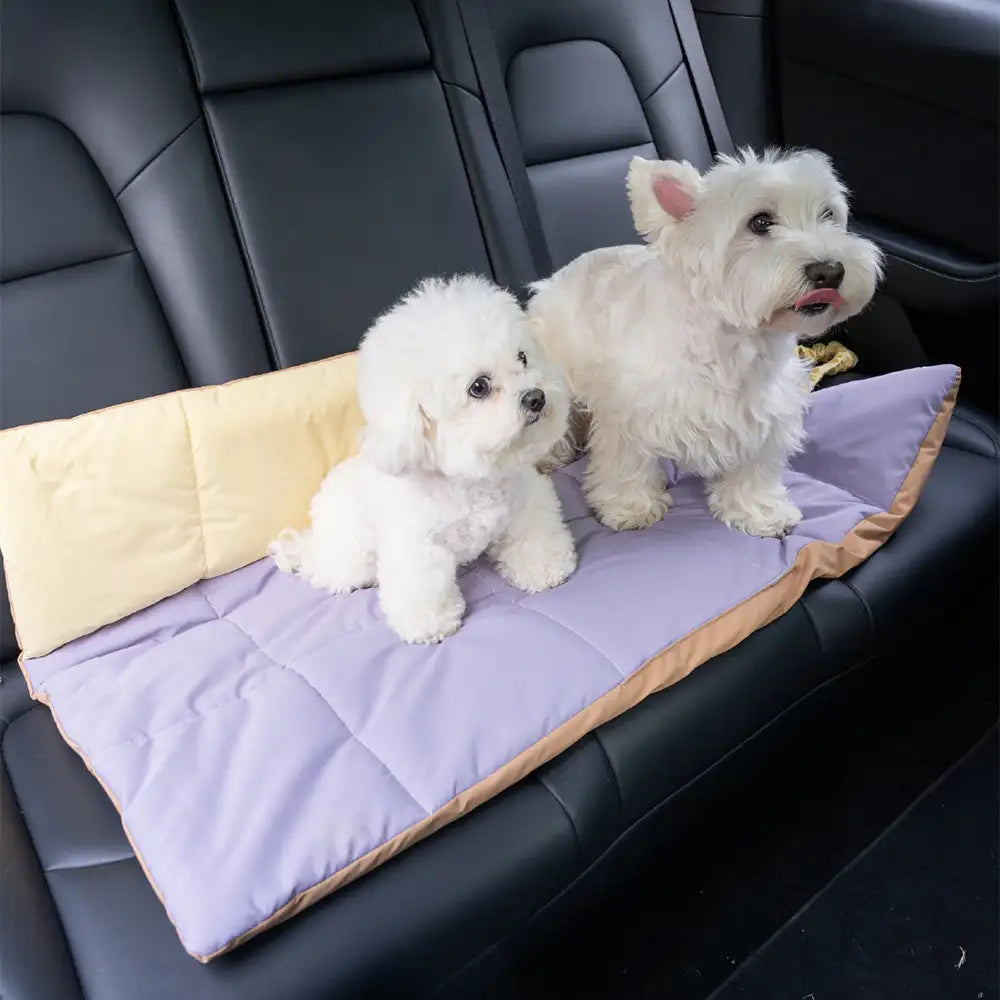 Tragbare faltbare beidseitige wasserabweisende Hundematte für Outdoor-Reisen und Camping