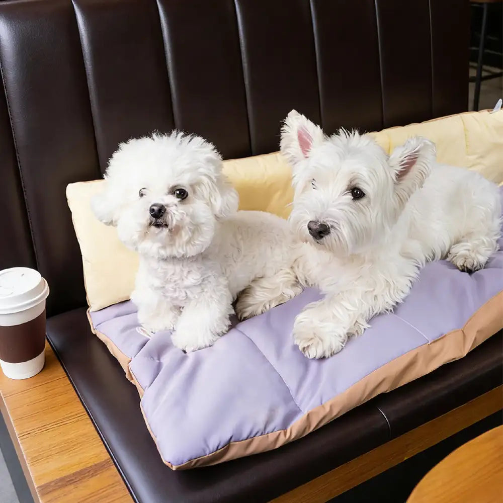 Tragbare faltbare beidseitige wasserabweisende Hundematte für Outdoor-Reisen und Camping