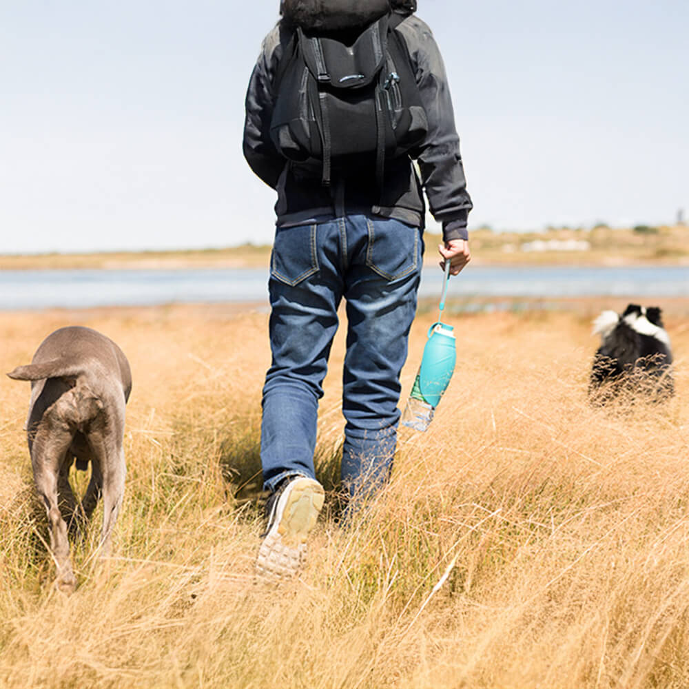 Tragbarer Blattförmiger Wasserspender für den Außenbereich Reisewasserflasche für Hunde