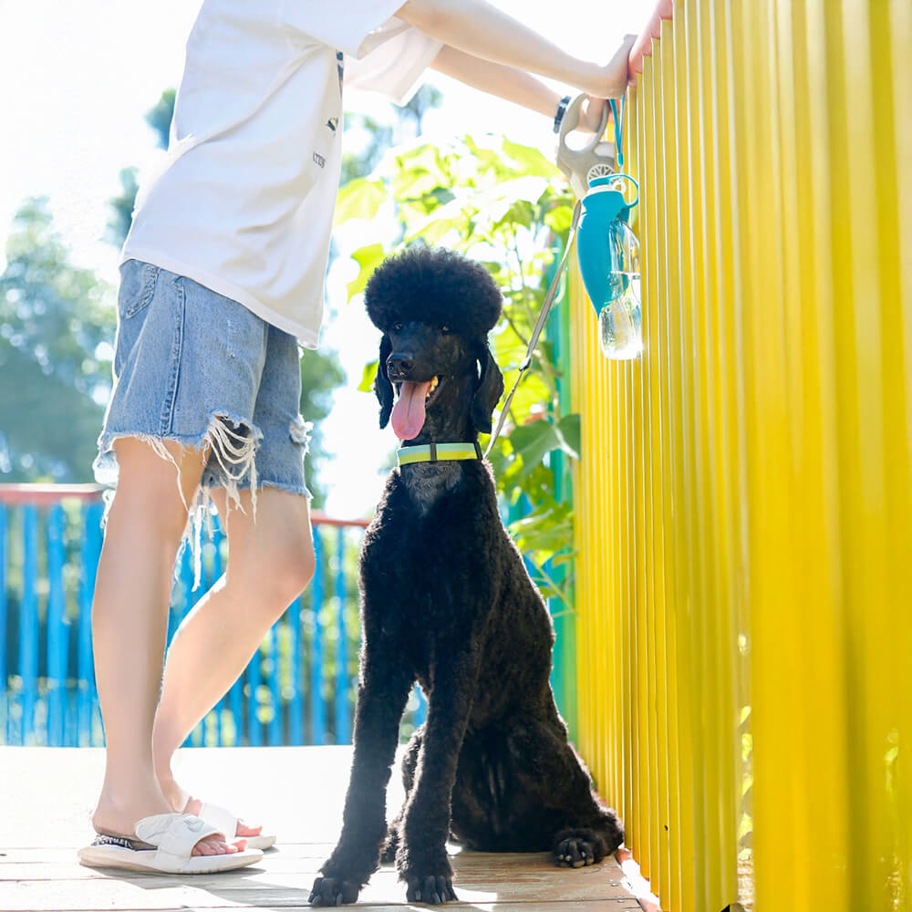 Tragbarer Blattförmiger Wasserspender für den Außenbereich Reisewasserflasche für Hunde