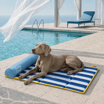 Kühlmatte Hund Atmungsaktive Kühlmatte für Hunde Faltbar Chill Nest