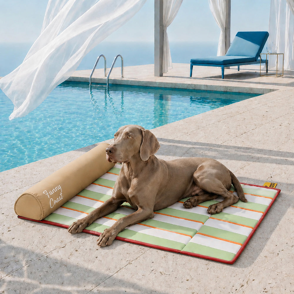 Kühlmatte Hund Atmungsaktive Kühlmatte für Hunde Faltbar Chill Nest