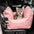 Wasserfestes ISOFIX Hundesitz-Bett – FirstClass