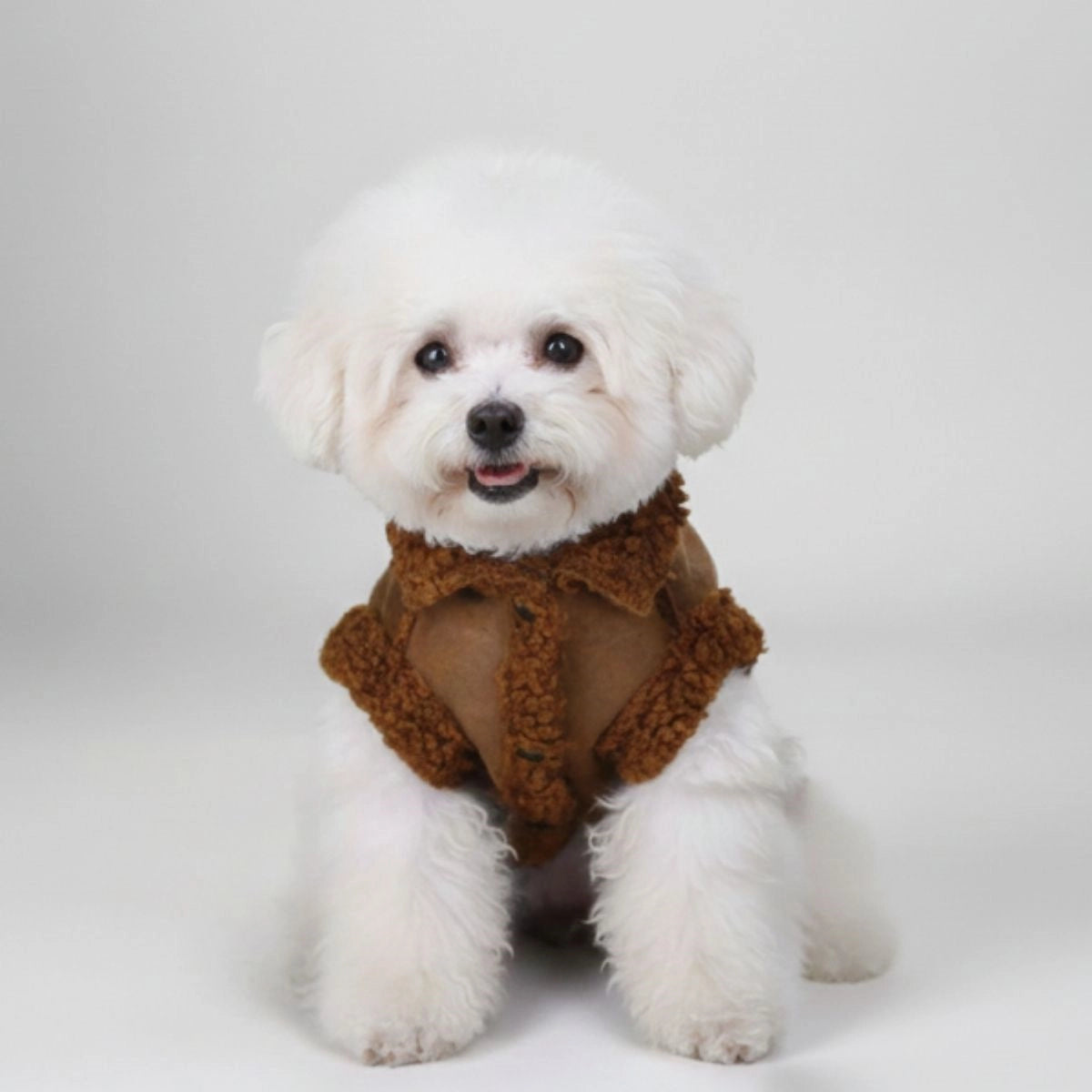 Shearling-Hundejacke – warme und stylische Winteroberbekleidung