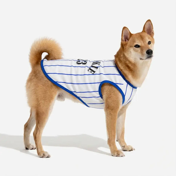 Sportlicher Stil atmungsaktives Hundeweste für Welpen