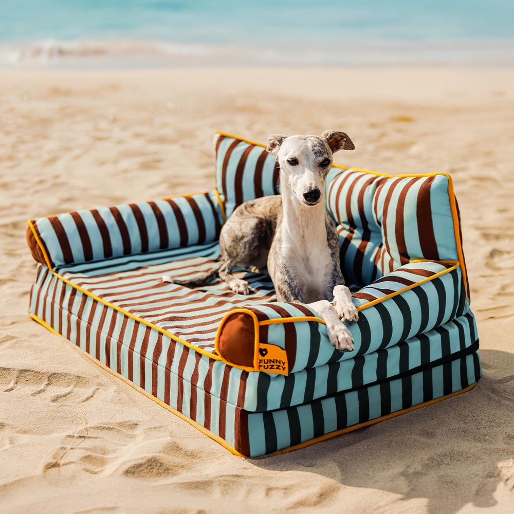 Streifen Wasserdichter Faltbarer großer Hundesofa-Bett für die Kiste