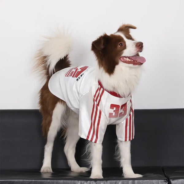 Gestreiftes retroreflektierendes Hund T-Shirt für alle Rassen