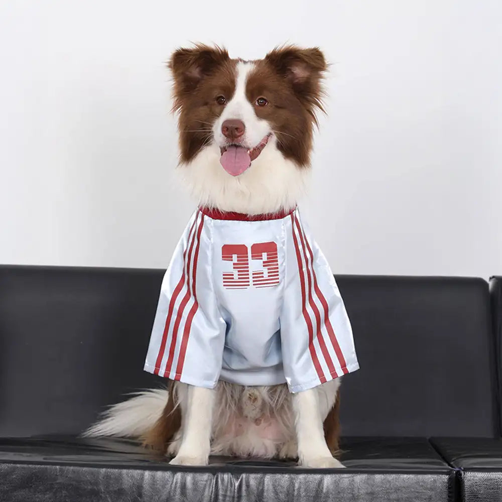 Gestreiftes retroreflektierendes Hund T-Shirt für alle Rassen