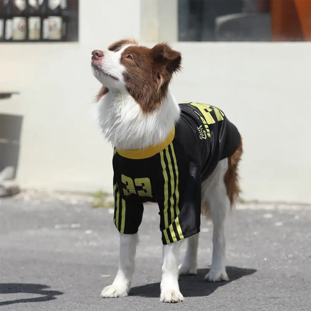 Gestreiftes retroreflektierendes Hund T-Shirt für alle Rassen
