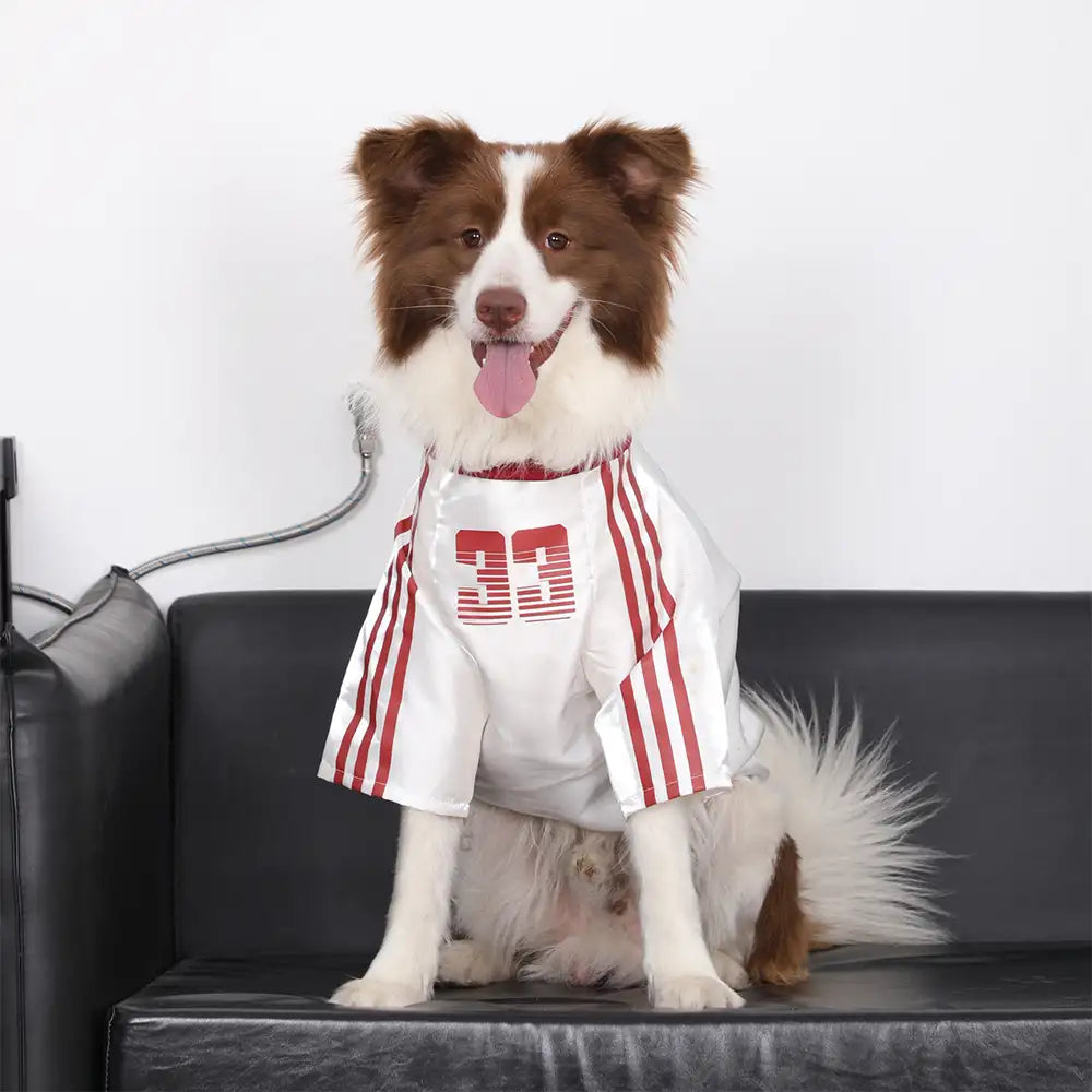 Gestreiftes retroreflektierendes Hund T-Shirt für alle Rassen