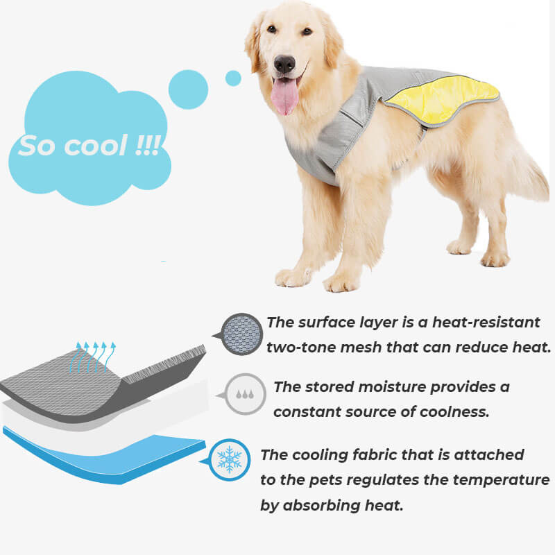 Sonnenschutz, atmungsaktive Kühlweste, Jacke, cooles Hundezubehör, Kühlweste